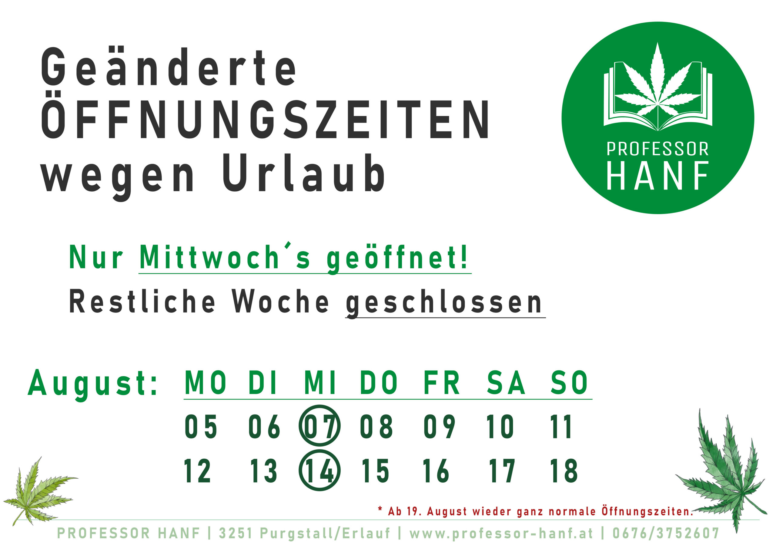 PROFESSOR HANF goes Urlaub